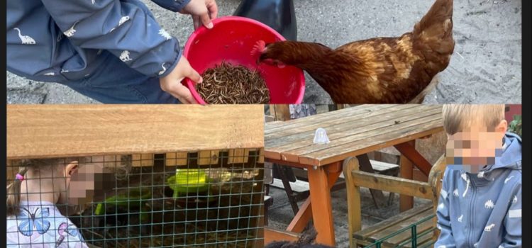 🐔 glückliche Hühner & glückliche Kinder Kinder mit Hühnern