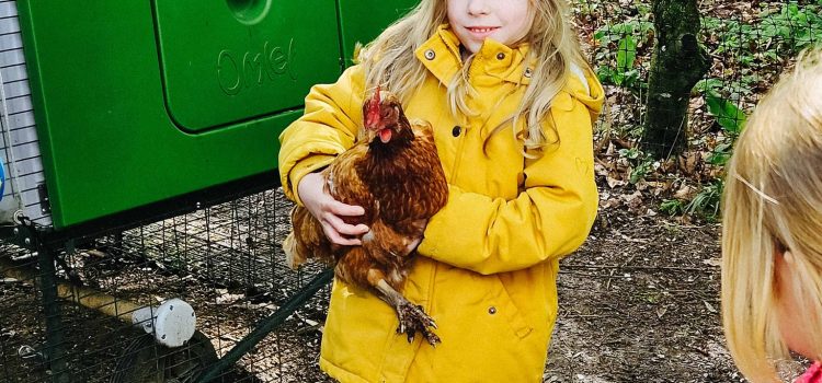 Tag der offenen Tür – Vorbeikommen und Mitlachen! 🎉 Tag der offenen Tür – Vorbeikommen und Mitlachen! 🎉