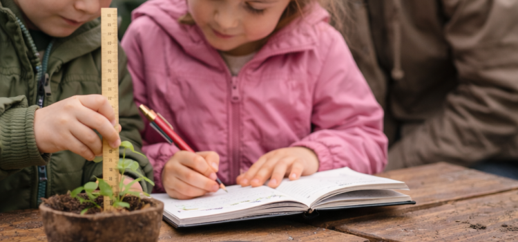 Nachhaltig schlau Kinder lernen mit Pflanzen