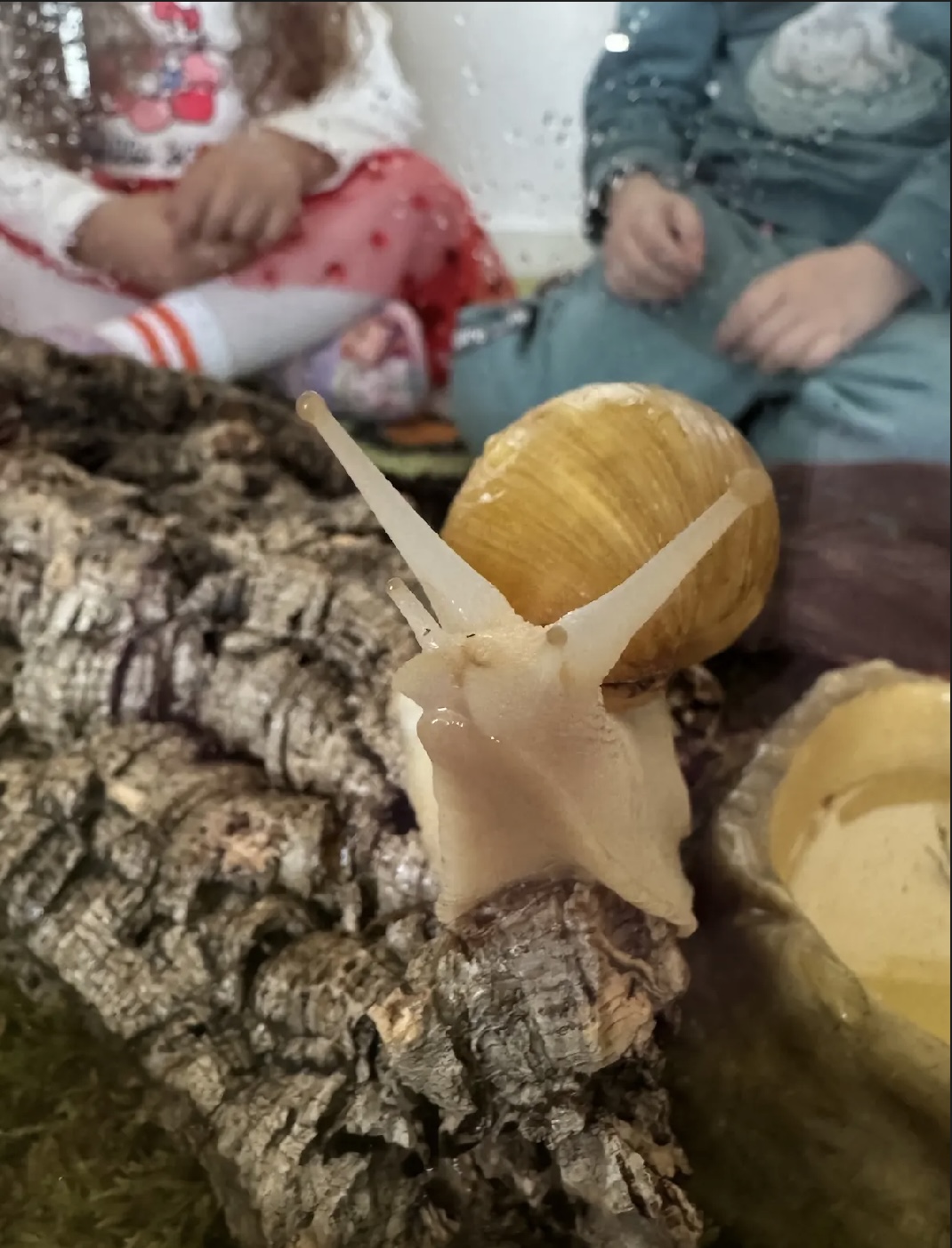 Unsere Schnecke „Turbo“ 🐌🌿