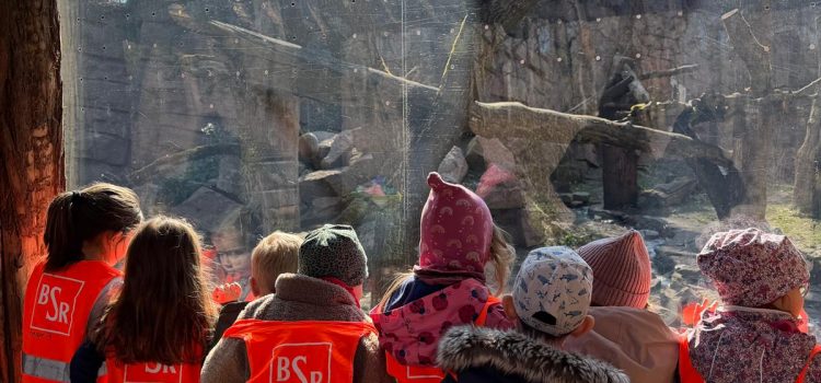 Ein tierisch schöner Zoobesuch 🐒🦁