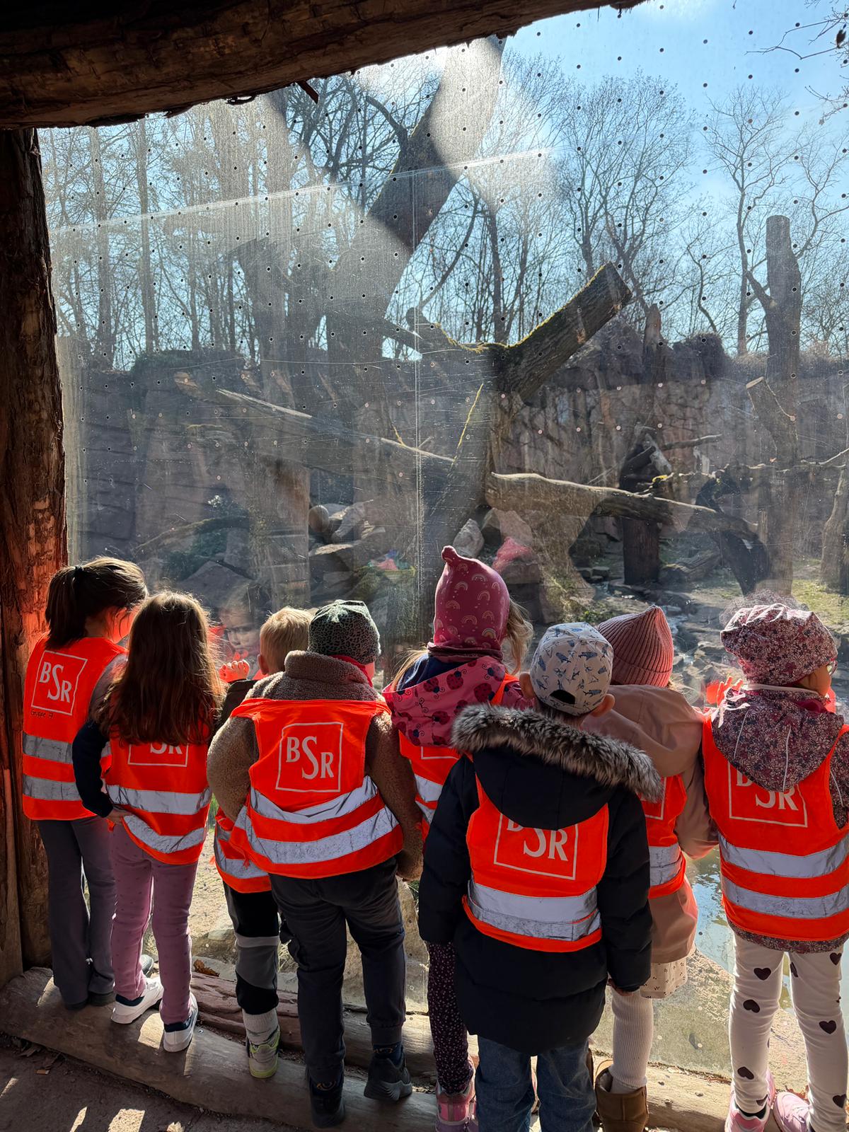 Ein tierisch schöner Zoobesuch 🐒🦁