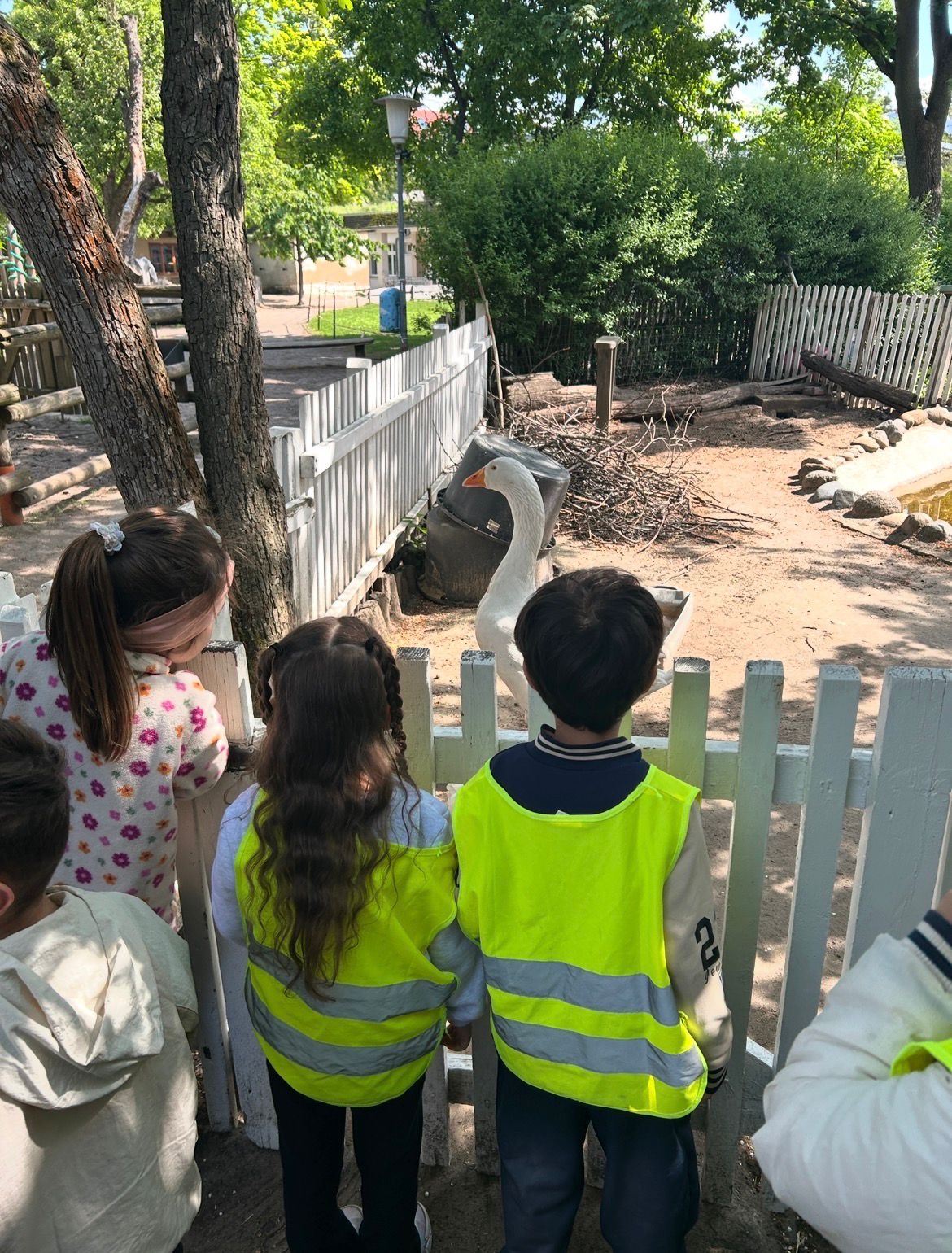 Besuch auf dem Bauernhof 🐣🪿